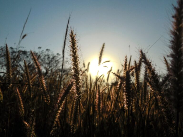 He said to his disciples, “The harvest is great, but the workers are few.