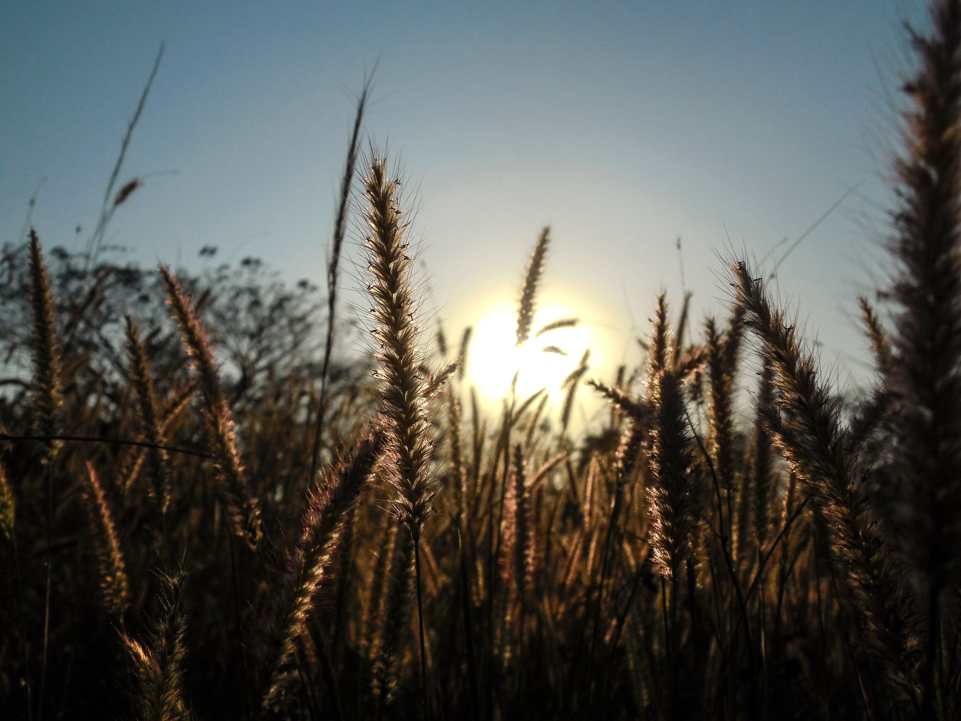 He said to his disciples, “The harvest is great, but the workers are few.